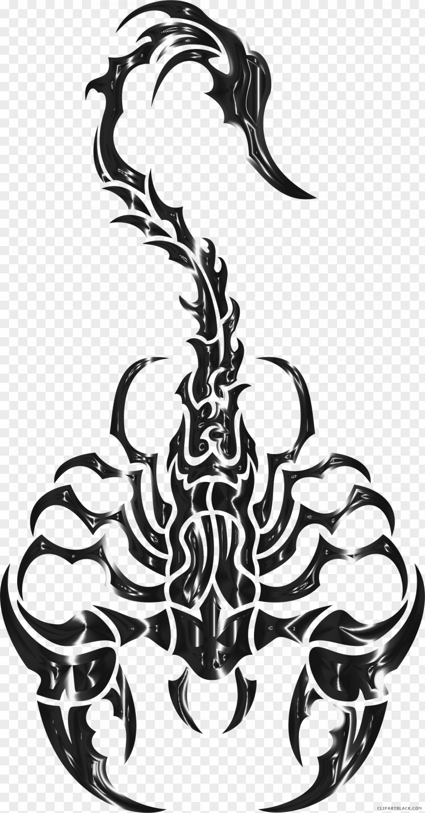 Scorpion Clip Art Vector Graphics Illustration Image PNG