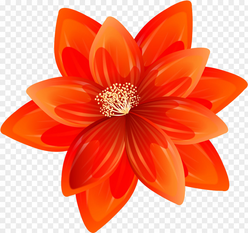 Dahlia Clip Art PNG