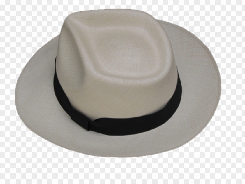 Design Fedora PNG