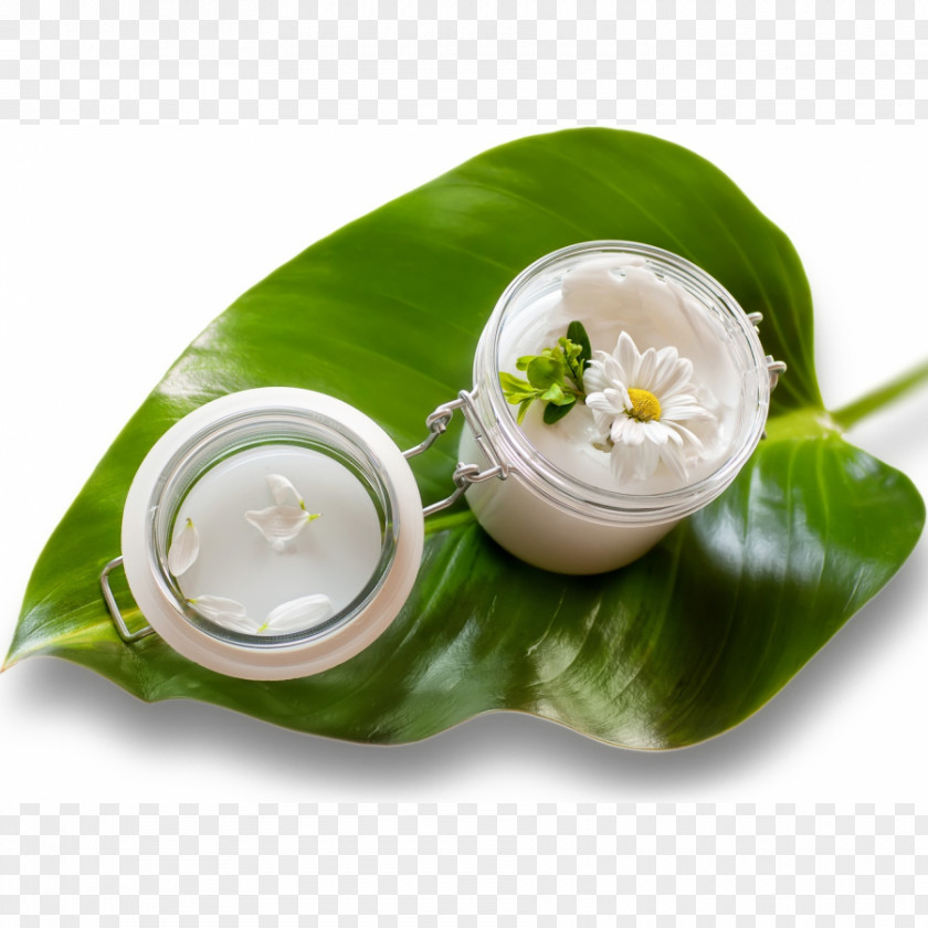 Dietary Supplement Cosmetics Pharmaceutical Drug Cream Herb PNG