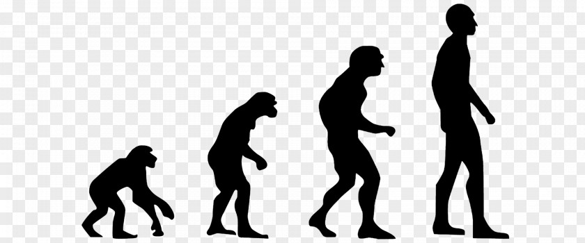 Evolution Homo Sapiens 2.0: Breaking The Deadlock Between Darwin And Design Human Technological Revolution PNG