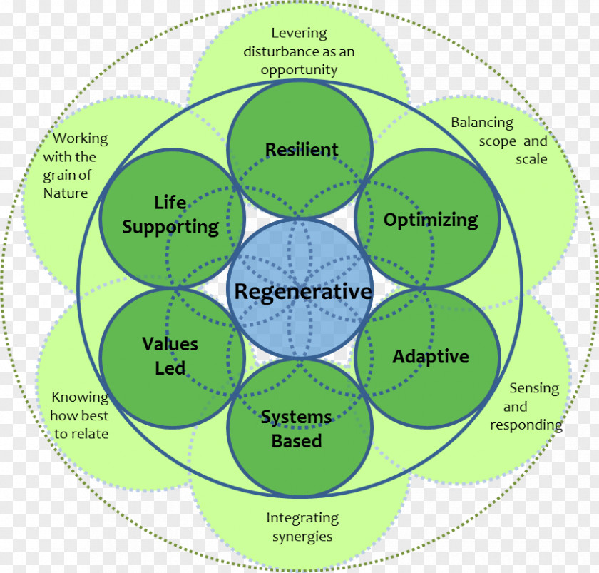 My Smorgasbord The Nature Of Business: Redesign For Resilience Research Biomimetics Bionics PNG