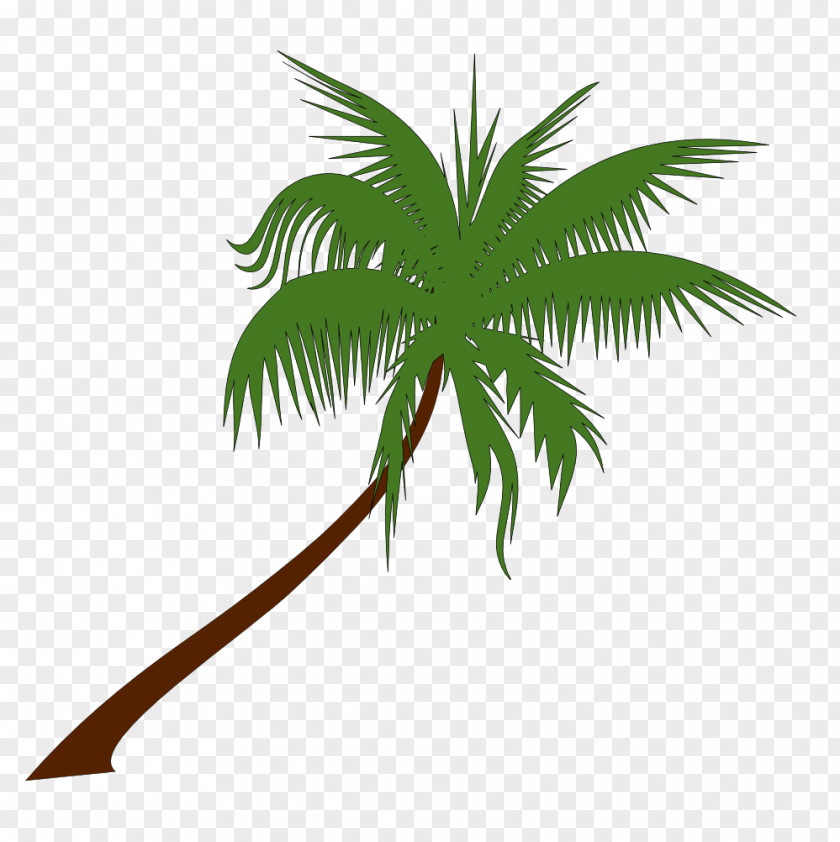 Public-Domain Tree Cliparts Arecaceae Coconut Clip Art PNG