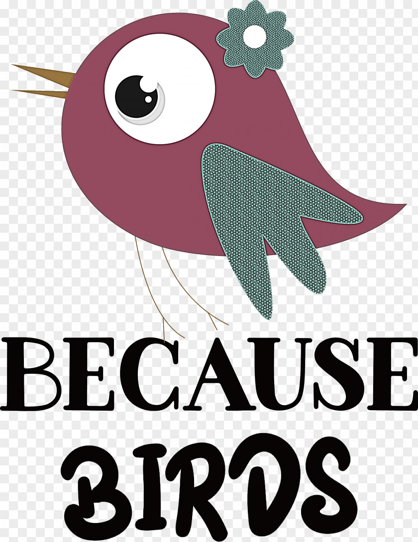 Because Birds Bird Animal PNG