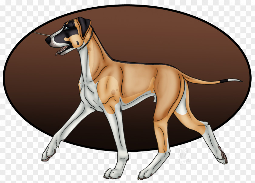 Dogo Argentino Great Dane Italian Greyhound Azawakh Dog Breed PNG
