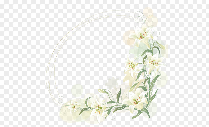 Flower Border Flowers Floral Design Lilium Candidum Clip Art PNG