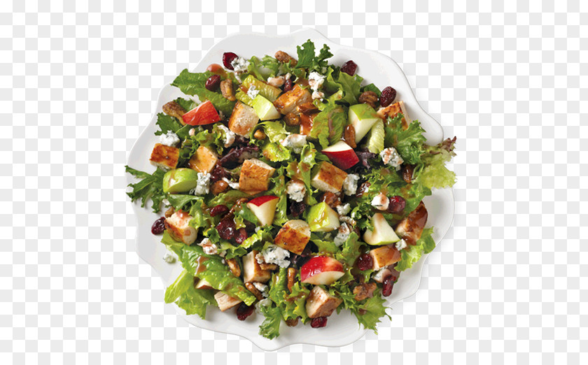 Healthy Eating Chicken Salad Caesar Fast Food Wrap Wendy's PNG