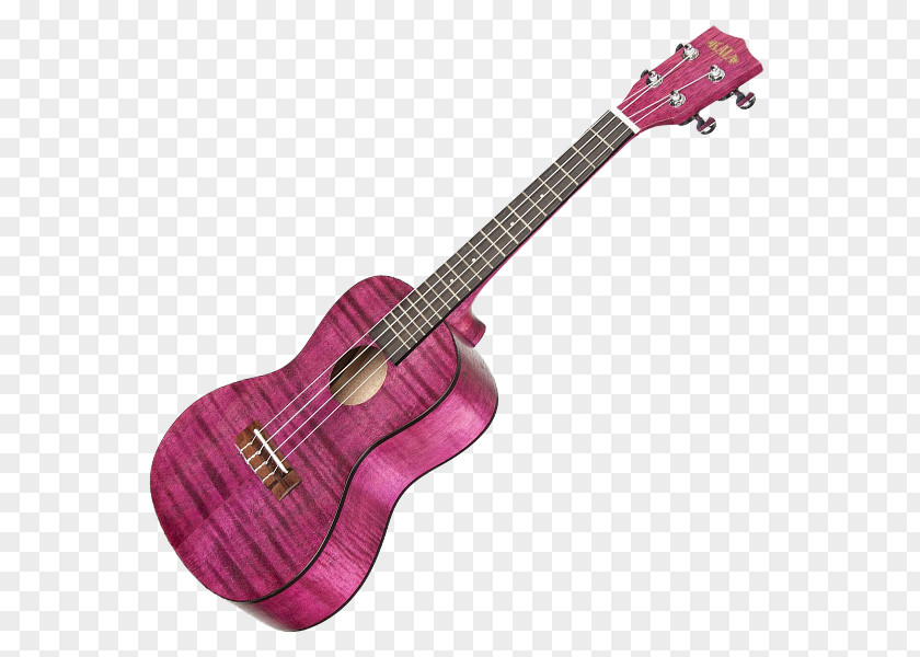 Musical Instruments Ukulele Guitar Tenor PNG