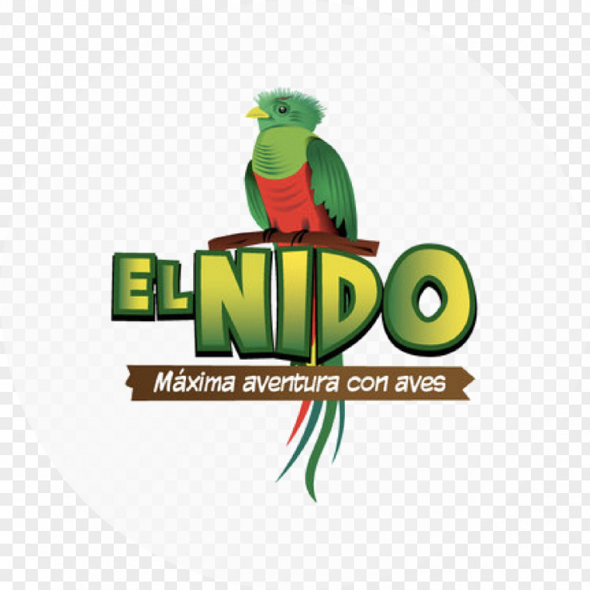 Nido El Logo Macaw Aviary Brand PNG