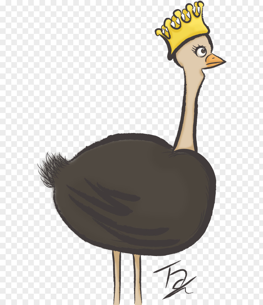 Ostrich Common Flightless Bird Duck Cartoon PNG