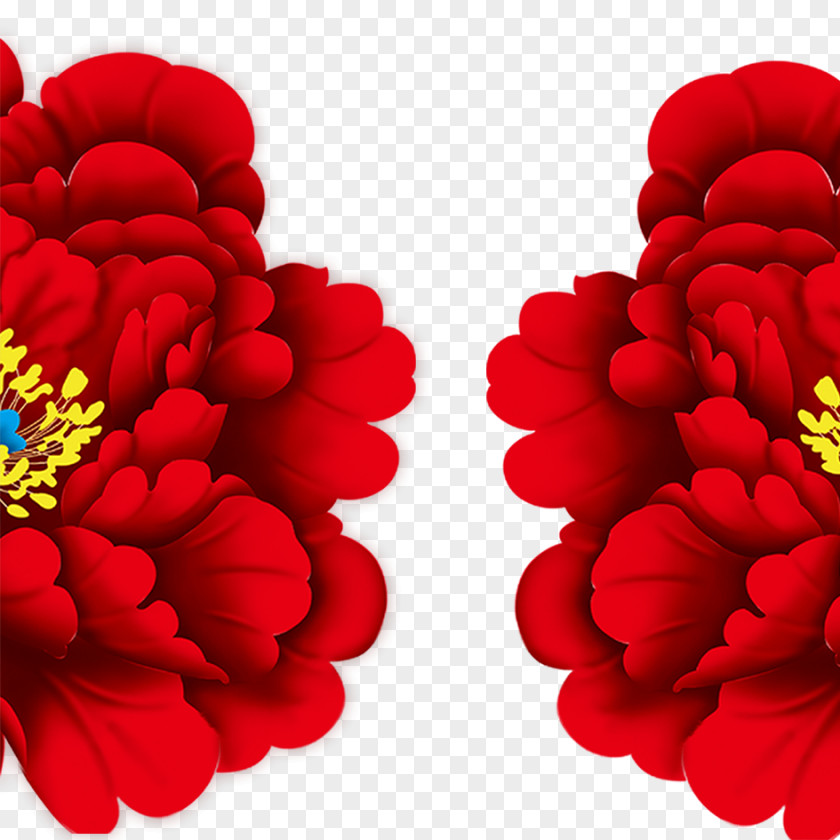 Red Peony Material Fundal Download Template PNG