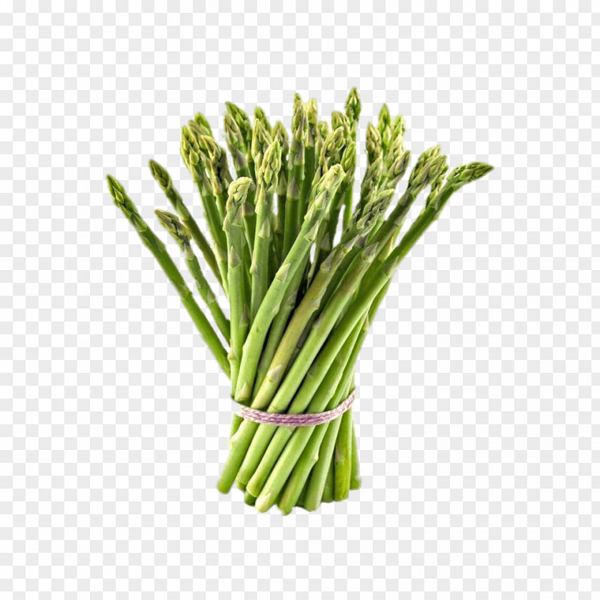 Vegetable Garden Asparagus Food Root Shatavari PNG