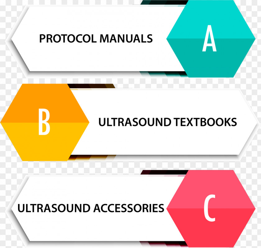 Abdome Infographic Logo Organization Brand Temperature Product Design PNG