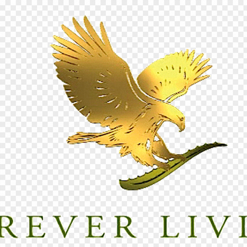 Forever Living Products Australia MEDIA SECTOR ALOE VERA GEL FOREVER The Store(Health And Beauty Store.) PNG