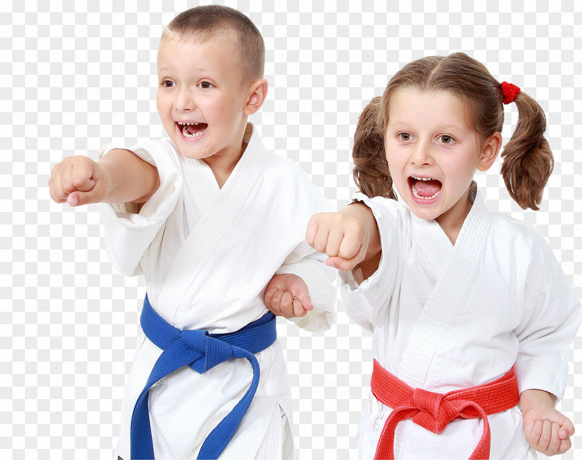 Karate Martial Arts Stock Photography Punch Sport PNG
