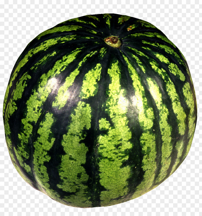 Watermelon Citrullus Lanatus Var. Melon Fruit Clip Art PNG