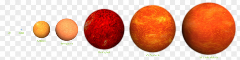 Yao Ming Star VY Canis Majoris VV Cephei Betelgeuse Sun PNG