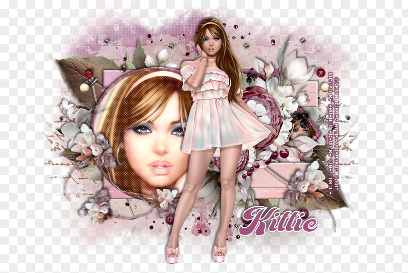 Barbie Fairy Brown Hair Pink M PNG