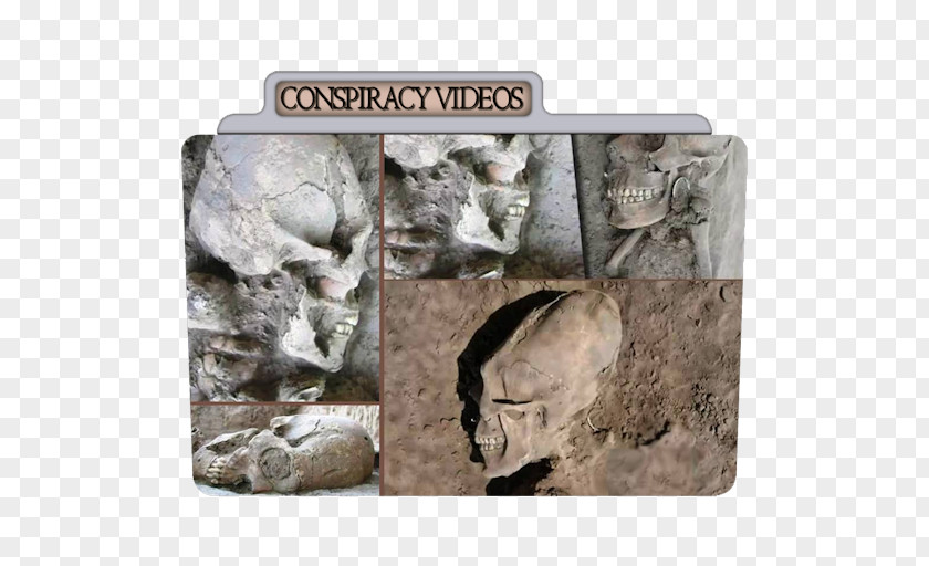 Documentaries Conspiracy Fauna Fossil Rock PNG