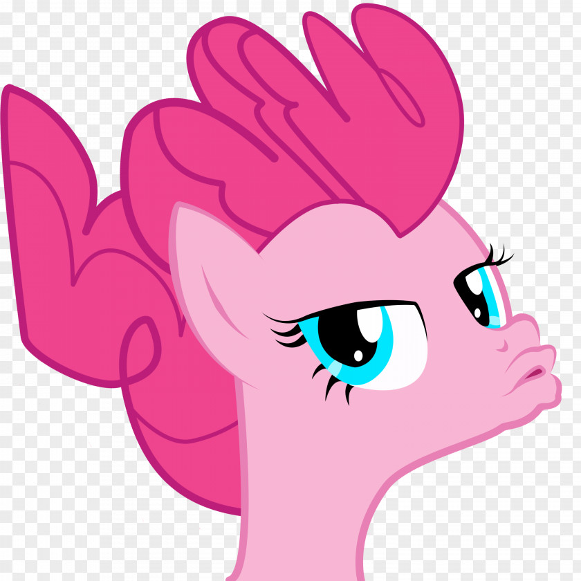 Duck Pony Pinkie Pie Rarity Face Selfie PNG