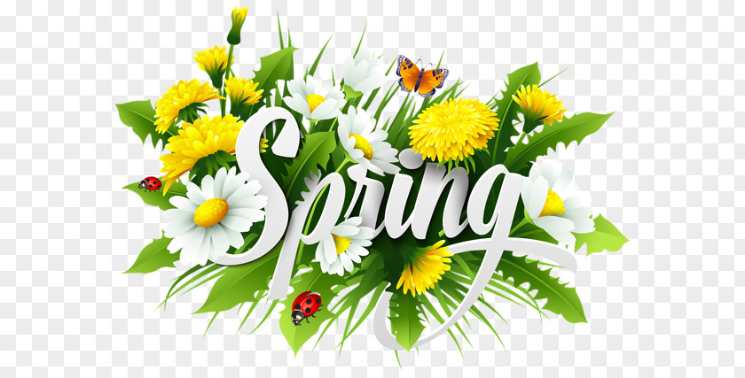 Summer Flowers Spring Clip Art PNG