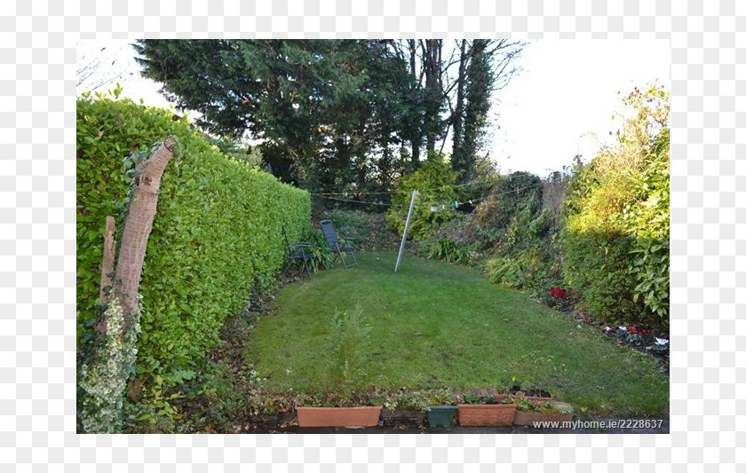 House Love Hedge Property Land Lot Grasses Walkway PNG