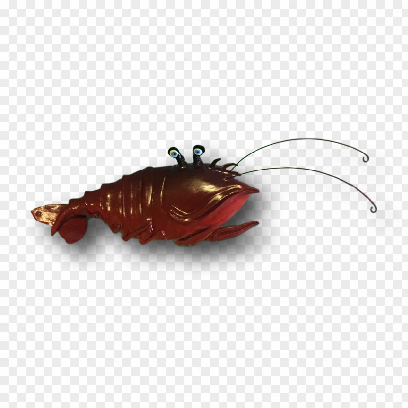 Insect Decapoda Fishing Bait PNG