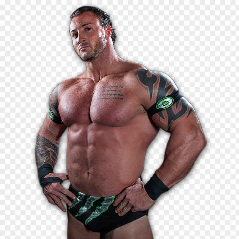 Mixed Martial Arts Robin Van Roosmalen Professional Wrestling Wrestler Lightweight PNG