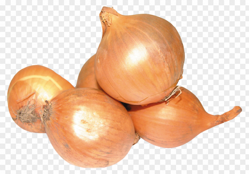 Onion Yellow Shallot Vegetable PNG