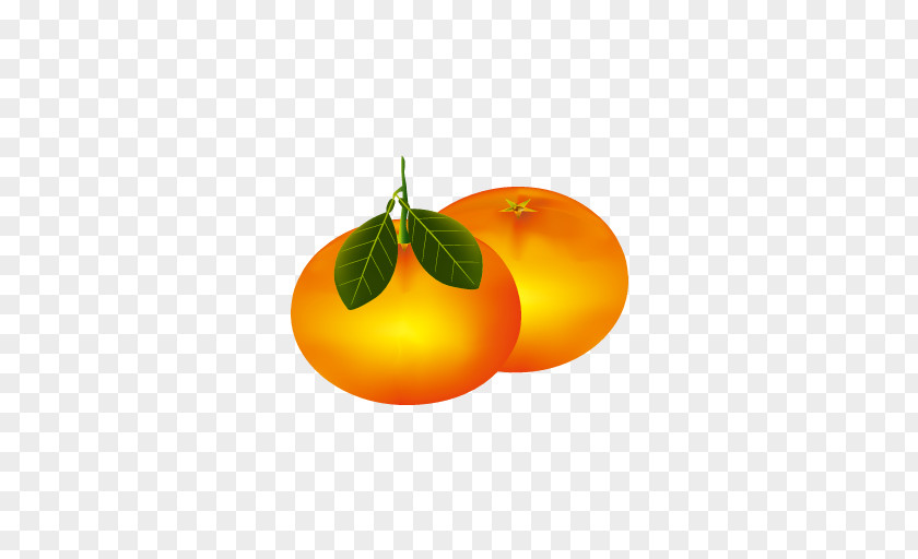 Orange Clementine Mandarin Icon PNG