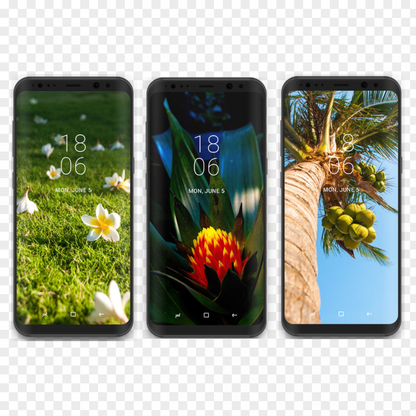 Tropical Collection Samsung Galaxy S8+ S6 Desktop Wallpaper PNG