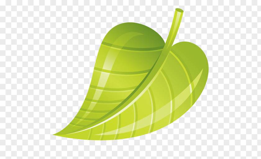 Design Leaf Fruit PNG