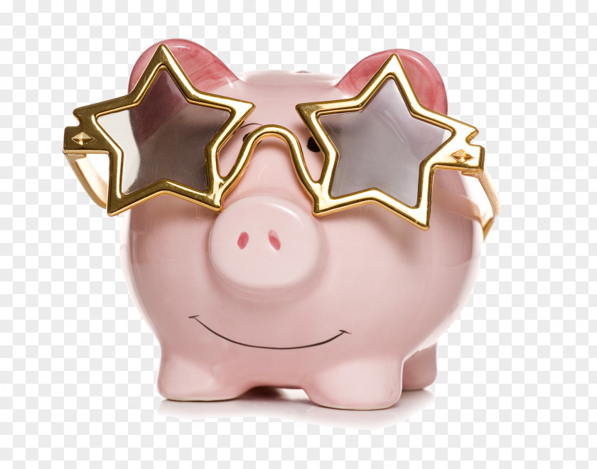 Piggy Bank Banknote PNG