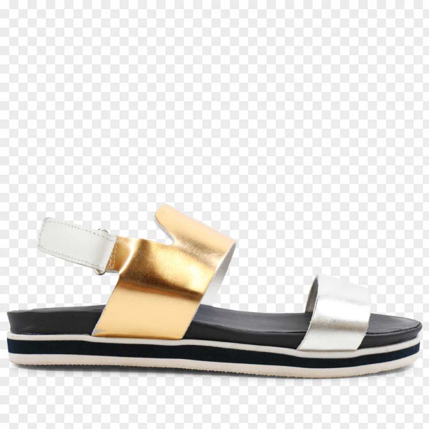 Sandal Shoe PNG