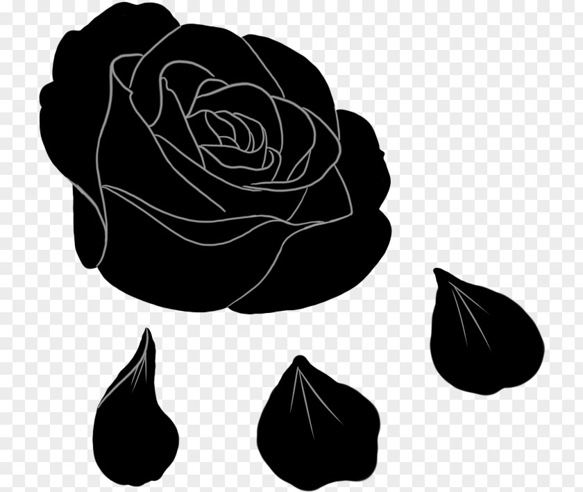 Black Rose Transparent Background Clipart Garden Roses Image PNG