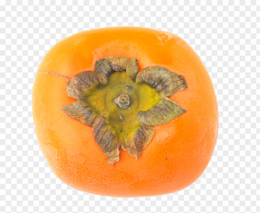 HD Picture Persimmon Fruit Photography PNG