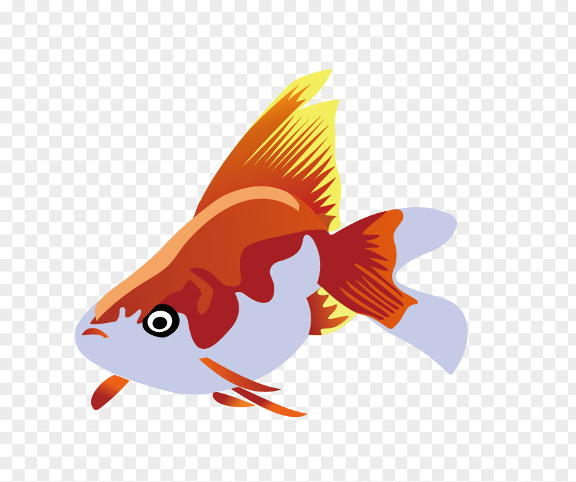 Vector Fish Clip Art PNG