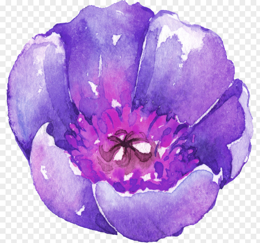 Watercolor Flowers Painting Download PNG