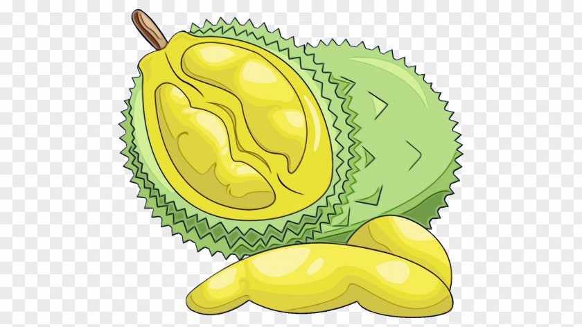 Yellow Fruit Durian Plant Food PNG
