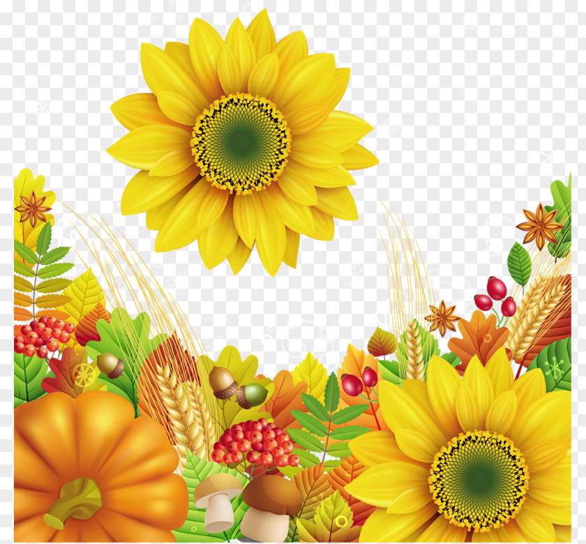 Sunflower Clip Art PNG