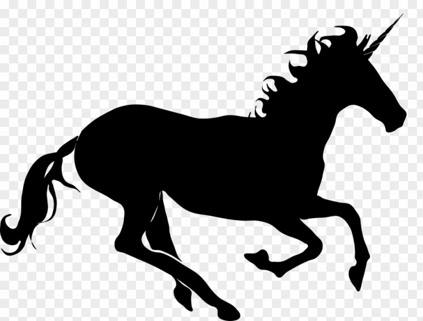 Tail Horse Supplies Unicorn Drawing PNG