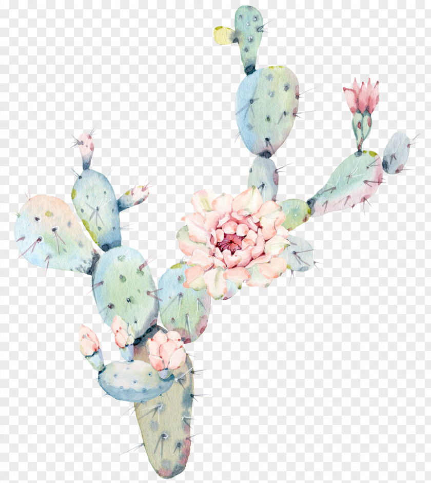 Water Color Flower Cactus Plant PNG