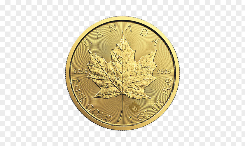 A Dog With Gold Ingot Canadian Maple Leaf Royal Mint Bullion Coin PNG