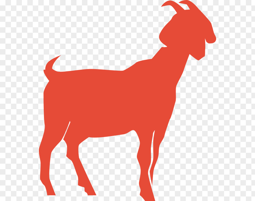 Goat Sheep Cattle Mammal Dog PNG