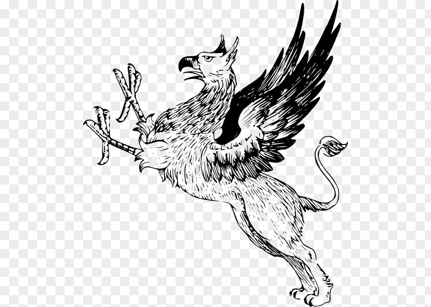 Griffin Clip Art PNG