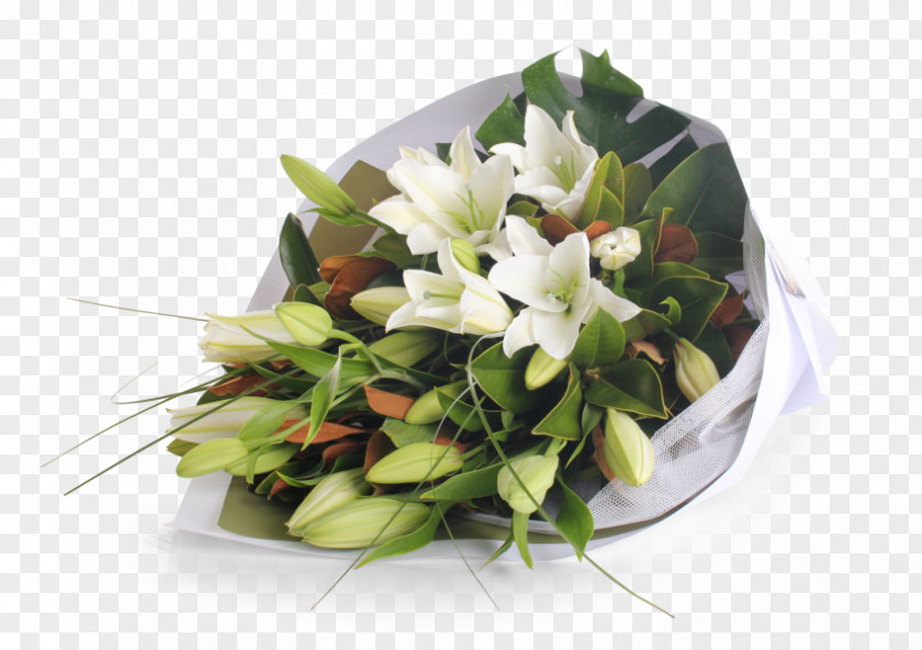 Oriental Cut Flowers Floral Design Floristry Flower Bouquet PNG