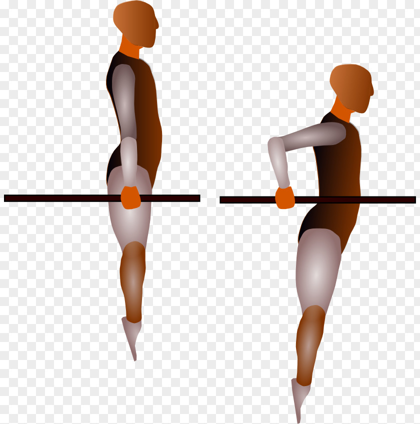 Dips Dip Weight Training Squat Strength Shoulder PNG