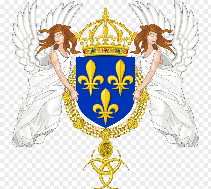 France Kingdom Of House Valois Coat Arms National Emblem PNG