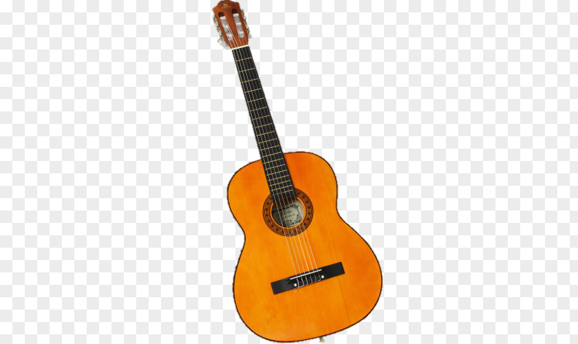 Guitarra Electrica Acoustic Guitar Tiple Cuatro Cavaquinho PNG