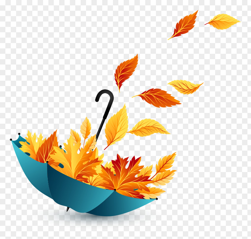 Leaves Summer Sale Psd File Clip Art Autumn Vector Graphics Image PNG